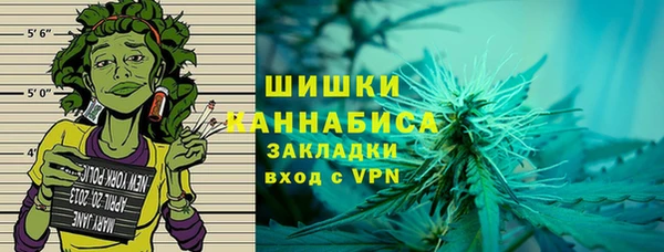 шишки Богданович